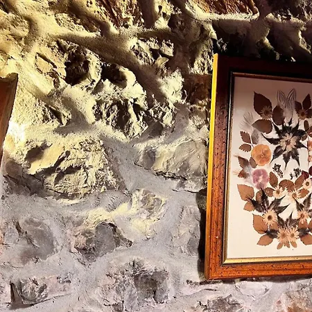 Acebos De Pena Cabarga, Cupula Experiencias Apartment