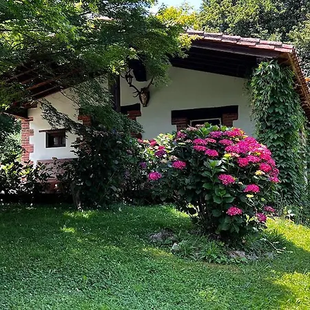 Acebos De Pena Cabarga, Cupula Experiencias Appartement