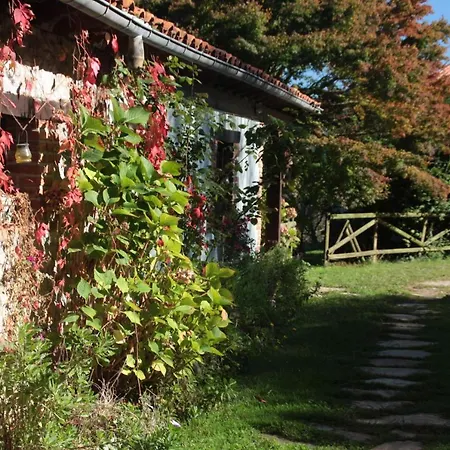 Acebos De Pena Cabarga, Cupula Experiencias Apartmán
