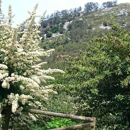 Apartmán Acebos De Pena Cabarga, Cupula Experiencias Sobremazas