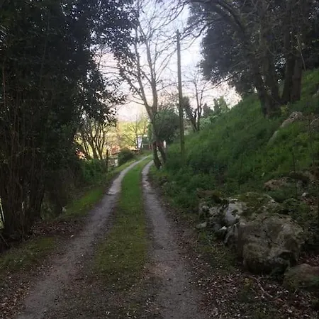 Acebos De Pena Cabarga * Sobremazas