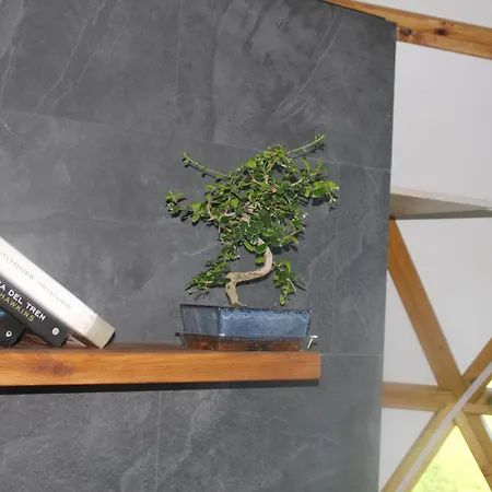 Acebos De Pena Cabarga, Cupula Experiencias Appartement