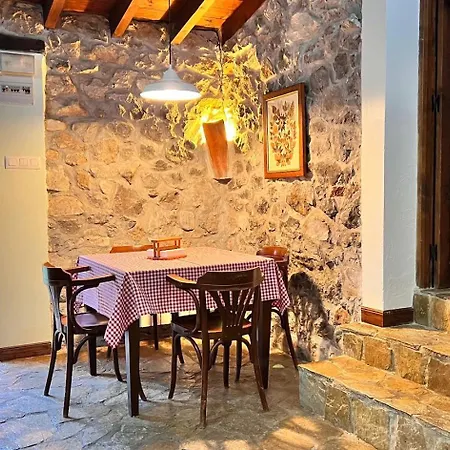 Acebos De Pena Cabarga