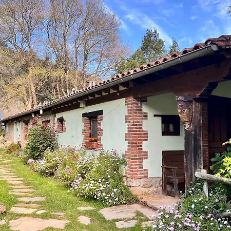 Acebos De Pena Cabarga * Sobremazas