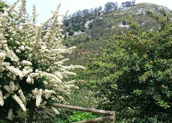 Apartmán Acebos De Pena Cabarga, Cupula Experiencias Sobremazas