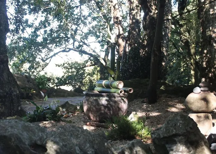 Lägenhet Acebos De Pena Cabarga, Cupula Experiencias *