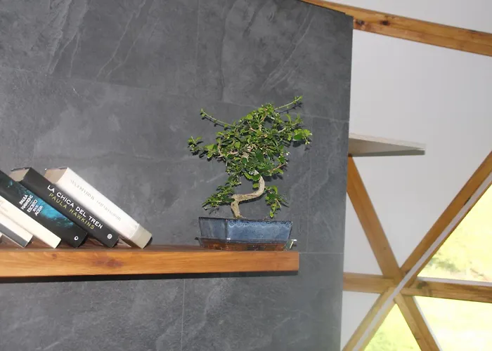 Acebos De Pena Cabarga, Cupula Experiencias Lägenhet