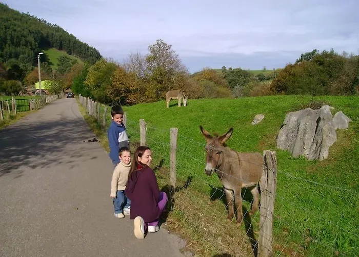 Acebos De Pena Cabarga, Cupula Experiencias